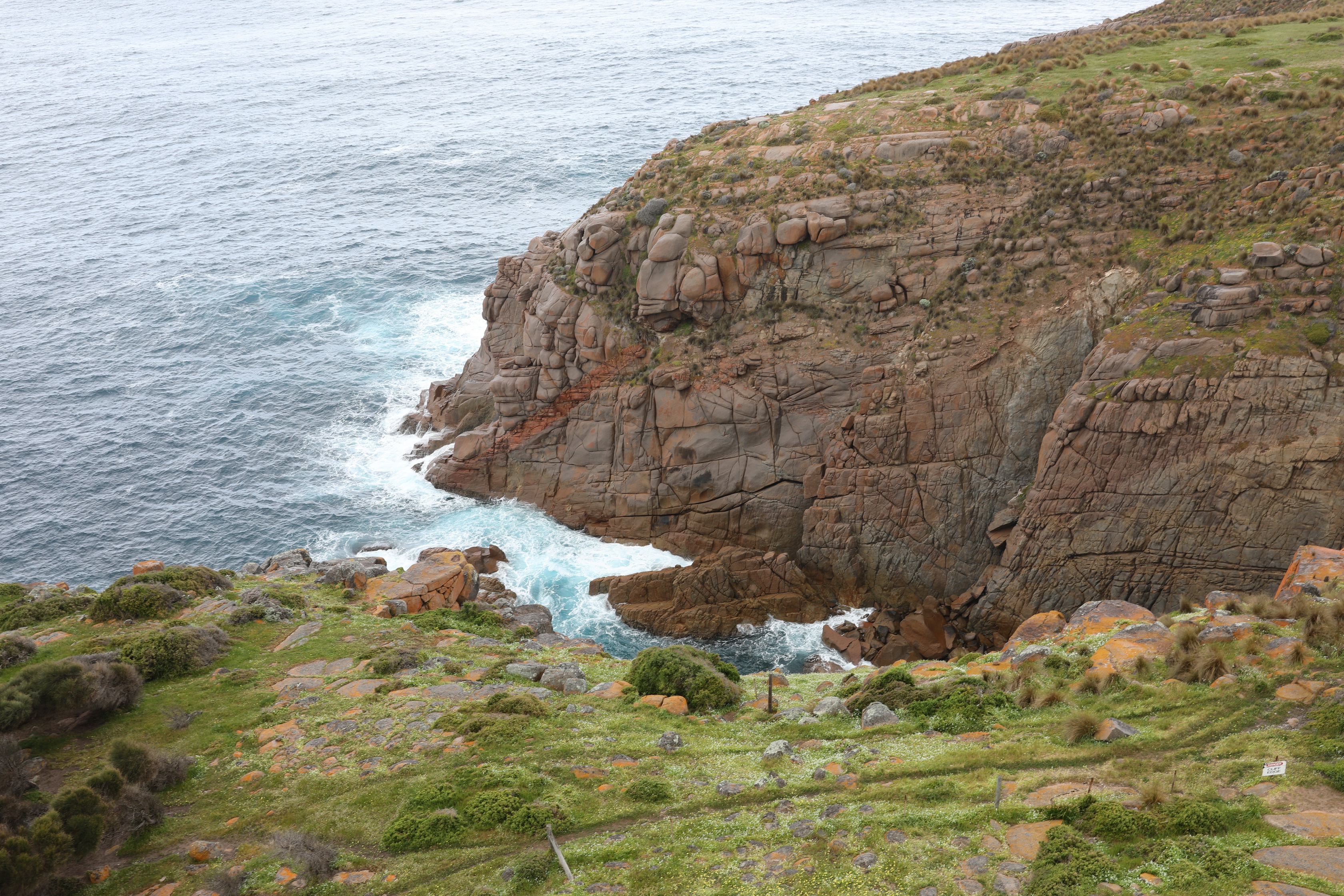 2019 10 07 11 24 26 Canon EOS 5D Mark IV 0010